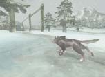 winter_wolf_link.jpg